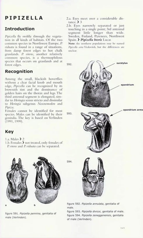 Hoverflies of Nothwest Europe - Identification kesy to the Syrphidae - van Veen,M.V. 2010