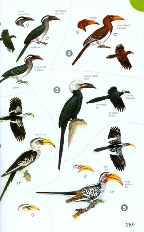 Birds of Africa south of the Sahara - Sinclair & Ryan 2010 2nd ed