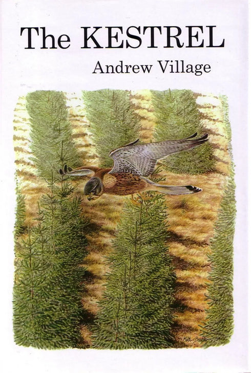 The Kestrel - Andrew Village 1990