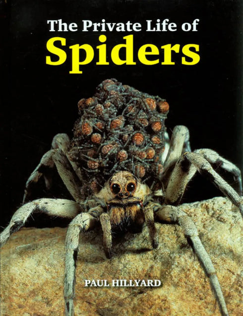 The Private Life of Spiders, Hillyard (2011)
