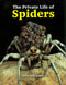The Private Life of Spiders, Hillyard (2011)