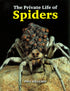 The Private Life of Spiders, Hillyard (2011)