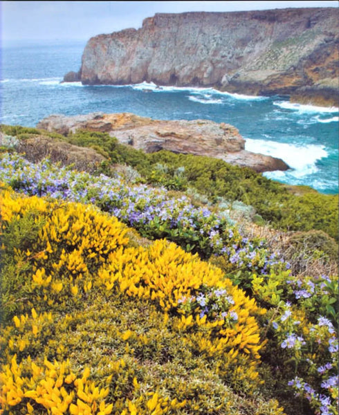 Wildflower Wonders of the World - Bob Gibbons 2014