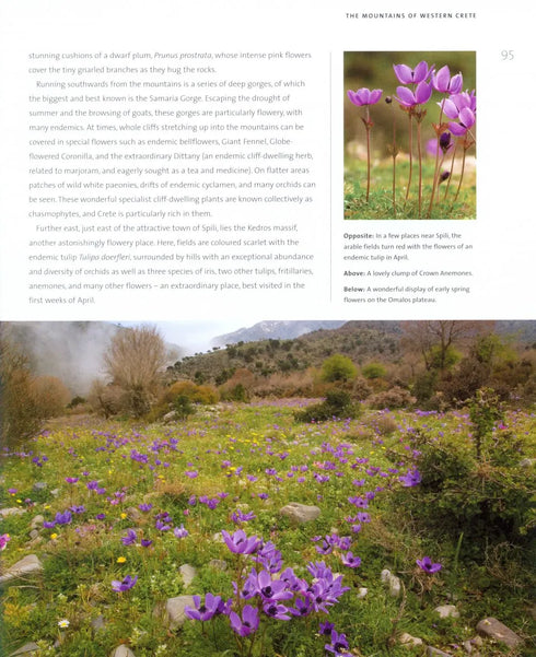 Wildflower Wonders of the World - Bob Gibbons 2014