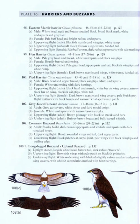A Field Guide to the Birds of Peninsular Malaysia and Singapore. Second edition ,Jeyarajasingam 2012