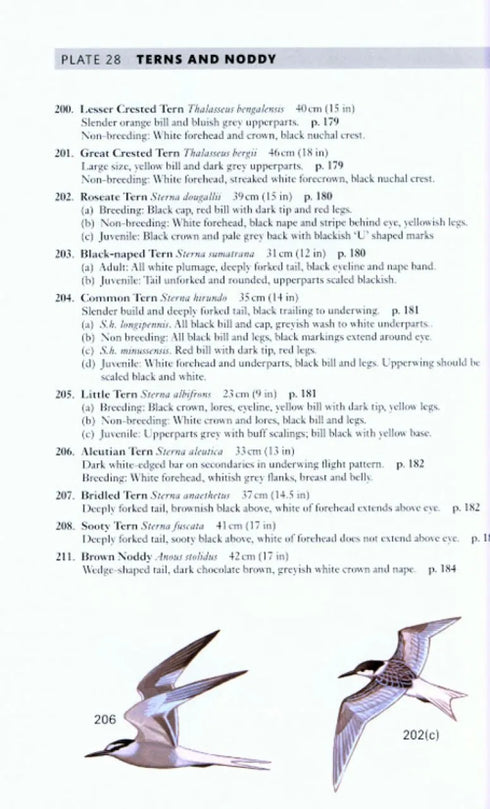 A Field Guide to the Birds of Peninsular Malaysia and Singapore. Second edition ,Jeyarajasingam 2012