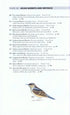 A Field Guide to the Birds of Peninsular Malaysia and Singapore. Second edition ,Jeyarajasingam 2012