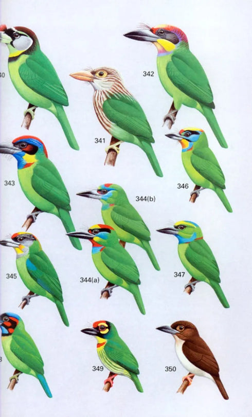 A Field Guide to the Birds of Peninsular Malaysia and Singapore. Second edition ,Jeyarajasingam 2012