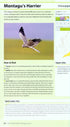 RSPB - British Birdfinder, Taylor (2012)