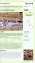 RSPB - British Birdfinder, Taylor (2012)