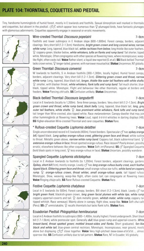 Birds of Ecuador - Freile, J. ja Restall, R. 2018