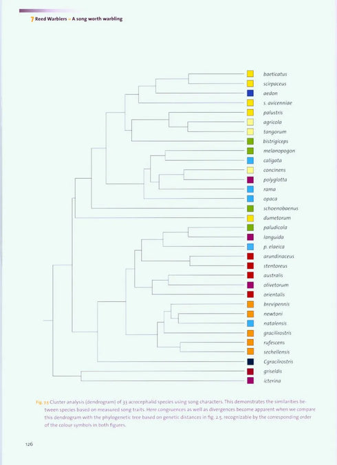 the Reed Warbler Bernd Leisler (2011