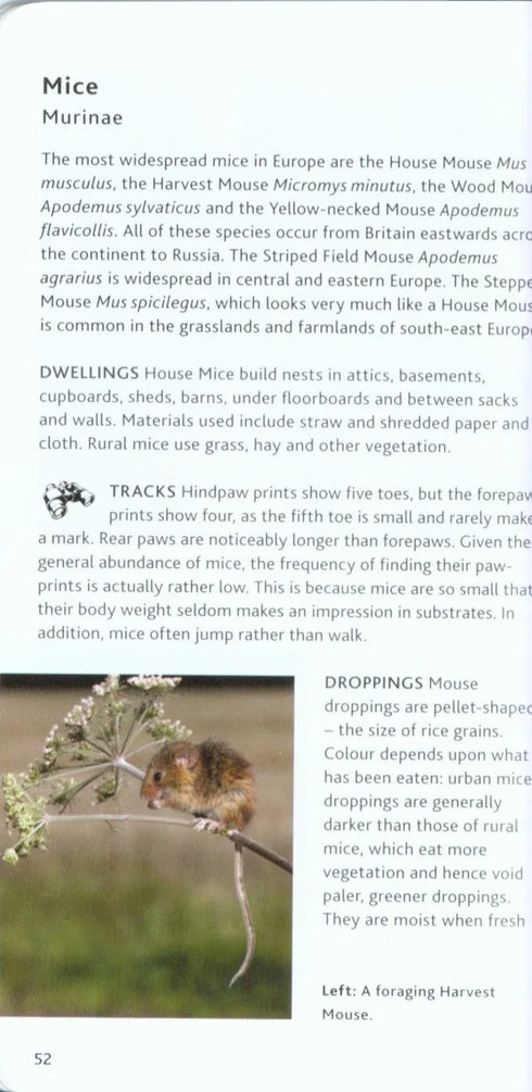 Bloomsbury Pocket Guide to Tracks & Signs - Gorman, G. 2014