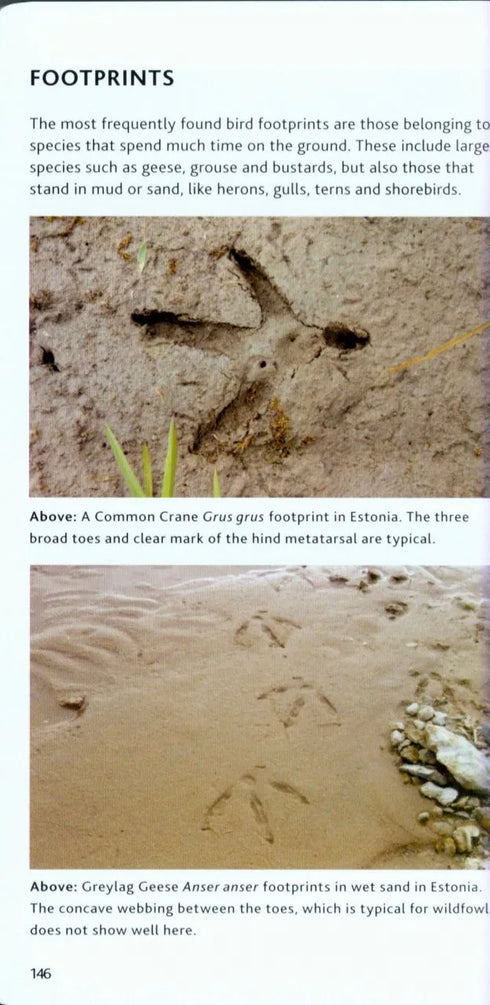 Bloomsbury Pocket Guide to Tracks & Signs - Gorman, G. 2014