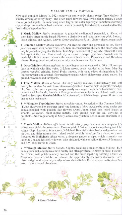 Wild Flowers of Britain and Ireland, 2nd Ed. - Blamey 2013