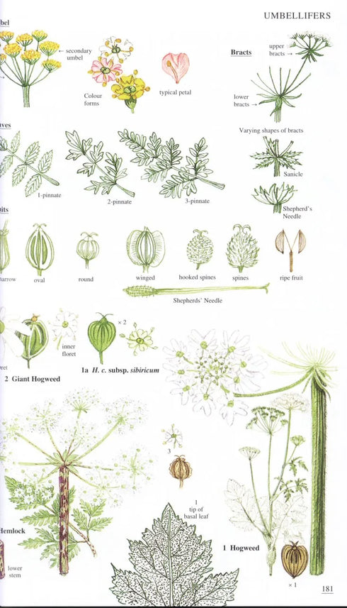 Wild Flowers of Britain and Ireland, 2nd Ed. - Blamey 2013