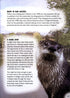 Wild town - Wildlife on your doorstep (Dilger)
