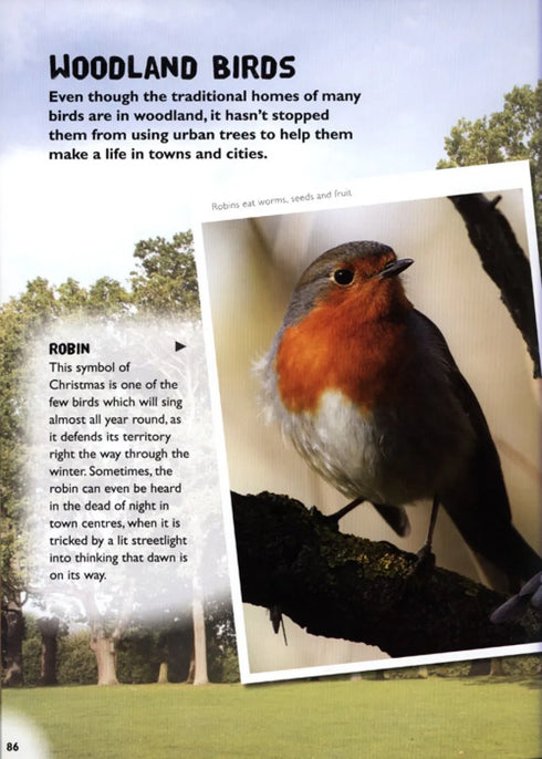 Wild town - Wildlife on your doorstep (Dilger)