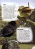 Wild town - Wildlife on your doorstep (Dilger)
