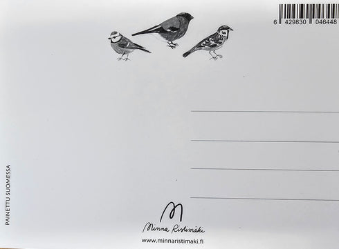 Postikortti, linnut - Minna Ristimäki