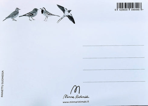 Postikortti - pääskysestä ei päivääkään