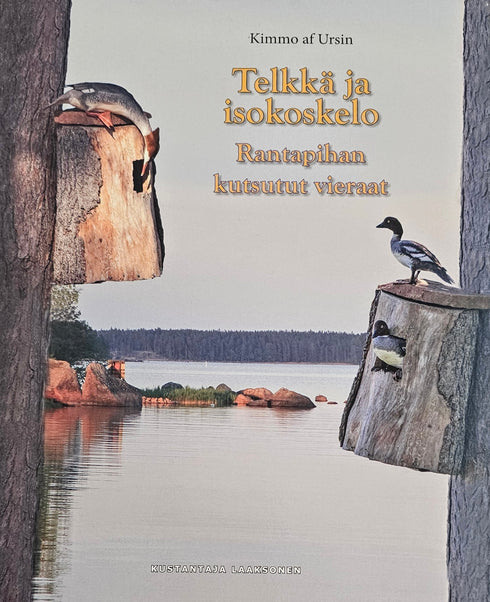 Telkkä ja isokoskelo - rantapihan kutsutut vieraat - Kimmo af Ursin 2013