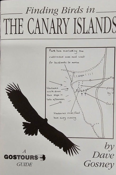 Finding Birds in Canary Islands, Dave Gosney 1994