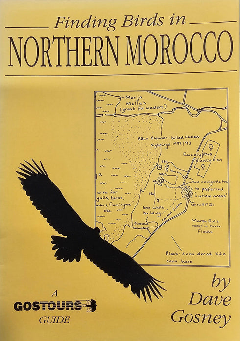 Finding birds in Northern Morocco - Dave Gosney 1994