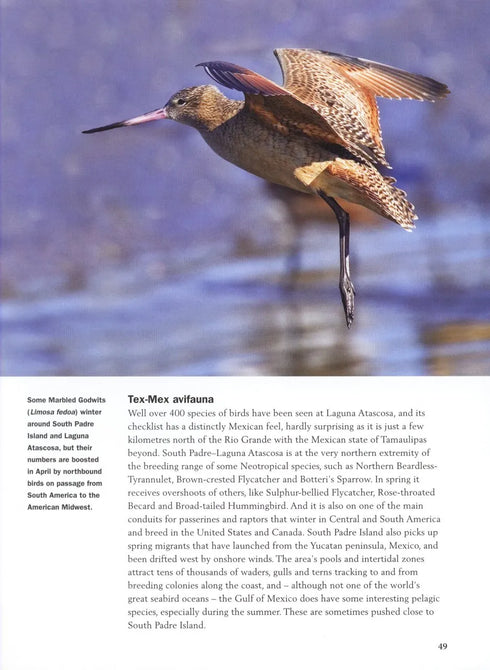 Migration Hotspots - The World’s Best Migration Sites (Harris) 2013