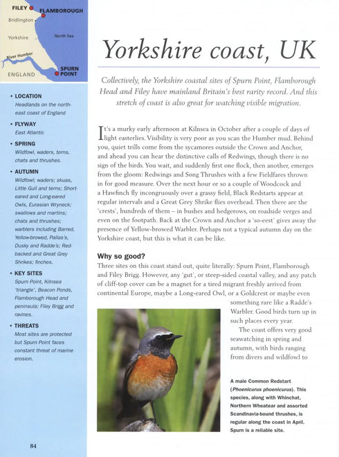 Migration Hotspots - The World’s Best Migration Sites (Harris) 2013