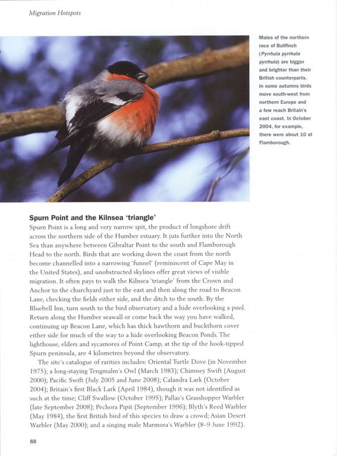 Migration Hotspots - The World’s Best Migration Sites (Harris) 2013