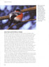 Migration Hotspots - The World’s Best Migration Sites (Harris) 2013