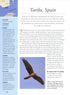 Migration Hotspots - The World’s Best Migration Sites (Harris) 2013