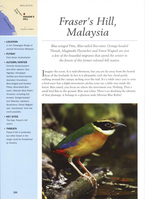 Migration Hotspots - The World’s Best Migration Sites (Harris) 2013