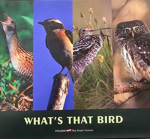 What's That Bird (4CD) Recognising Birds by Their Songs and Calls