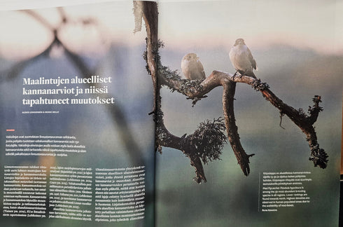 Linnut-vuosikirja - Birdlife 2025