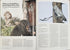 Linnut-vuosikirja - Birdlife 2025