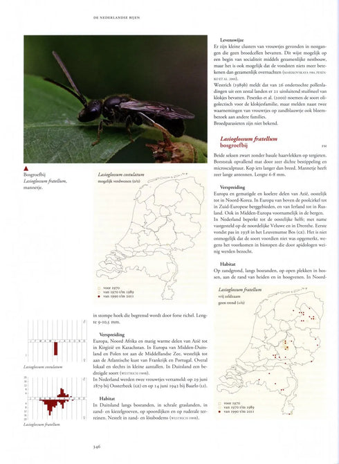 De Nederlandse Bijen - Theo M.J. Peeters 2012