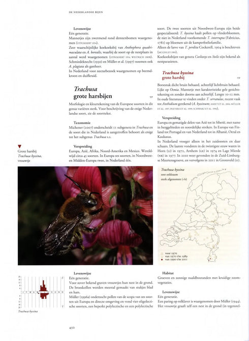 De Nederlandse Bijen - Theo M.J. Peeters 2012
