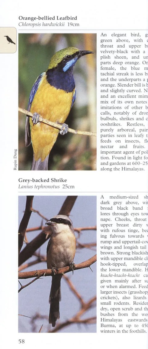 A Photographic Guide to Birds of the Himalayas -Grewal 2013
