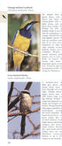 A Photographic Guide to Birds of the Himalayas -Grewal 2013