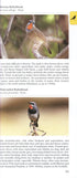 A Photographic Guide to Birds of the Himalayas -Grewal 2013