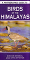 A Photographic Guide to Birds of the Himalayas -Grewal 2013