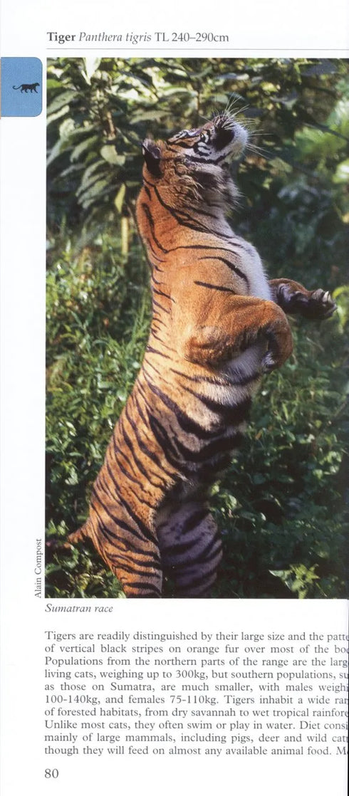 A Photographic guide to Mammals of South East Asia - Francis, C., M. 2013