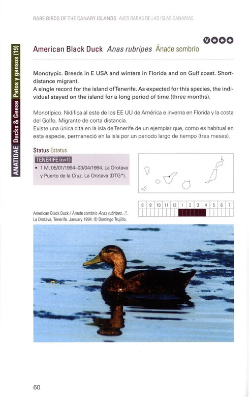 Rare birds of Canary Islands - Garcia, d. R. 2013