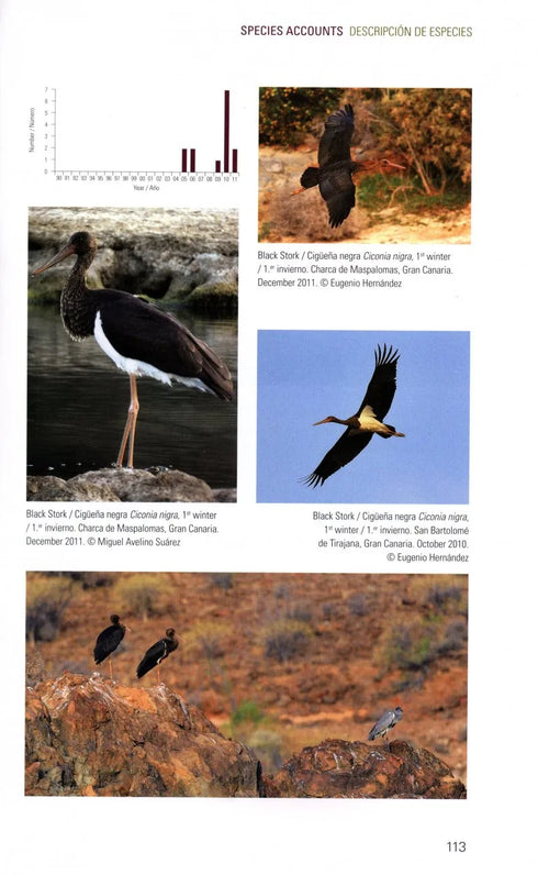 Rare birds of Canary Islands - Garcia, d. R. 2013