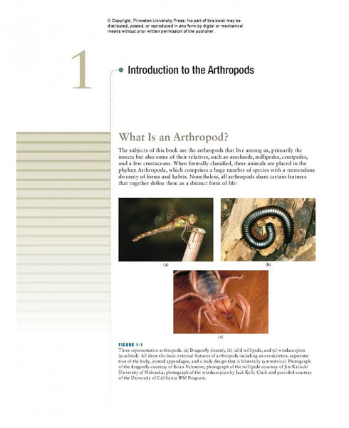 Bugs Rule! An Introduction to the World of Insects - Cranshaw,W. & Redak,R. 2013