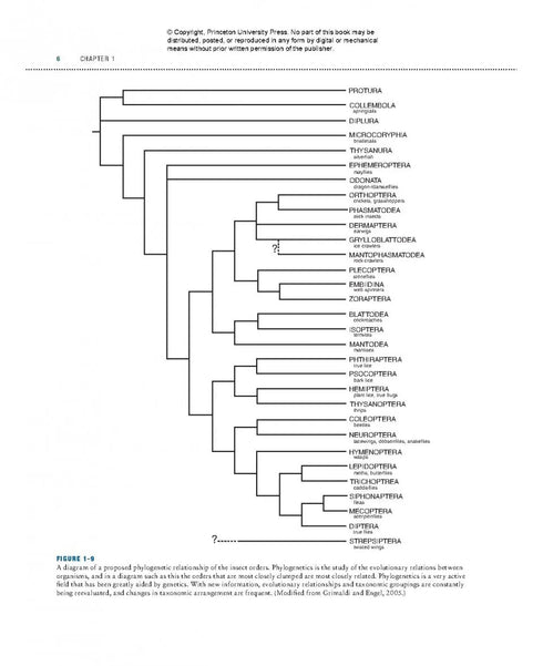 Bugs Rule! An Introduction to the World of Insects - Cranshaw,W. & Redak,R. 2013