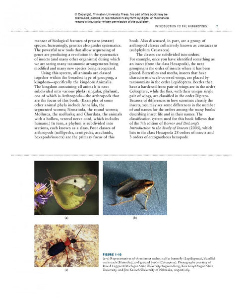 Bugs Rule! An Introduction to the World of Insects - Cranshaw,W. & Redak,R. 2013