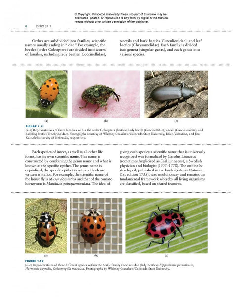 Bugs Rule! An Introduction to the World of Insects - Cranshaw,W. & Redak,R. 2013
